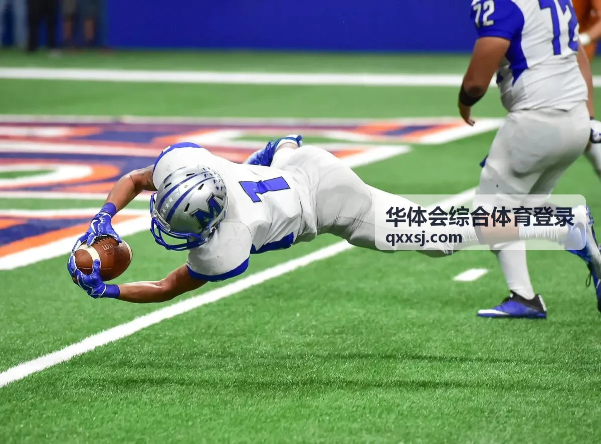华体会综合体育登录项目全览主题封面