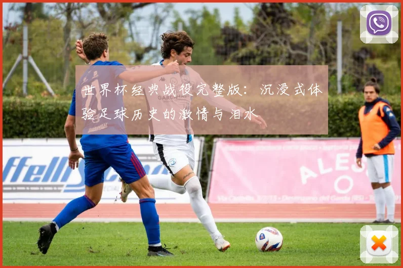 世界杯经典战役完整版：沉浸式体验足球历史的激情与泪水