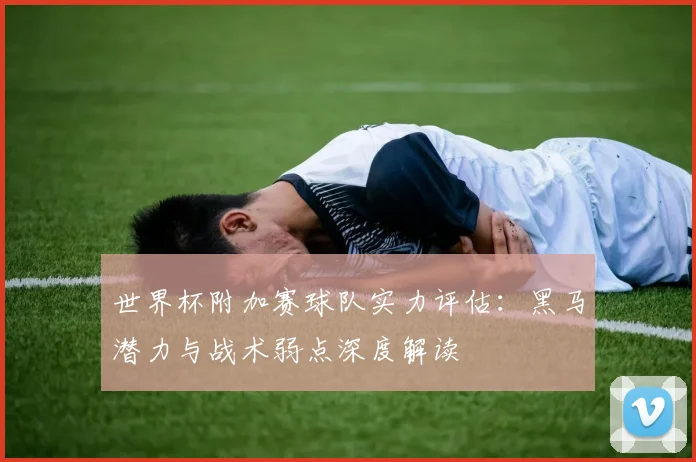 世界杯附加赛球队实力评估:黑马潜力与战术弱点深度解读