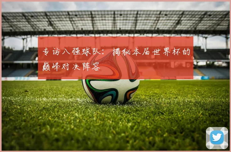 专访八强球队:揭秘本届世界杯的巅峰对决阵容