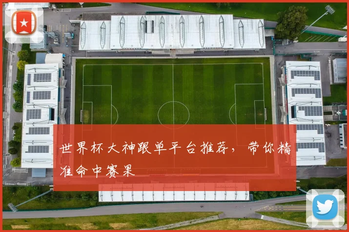 世界杯大神跟单平台推荐,带你精准命中赛果